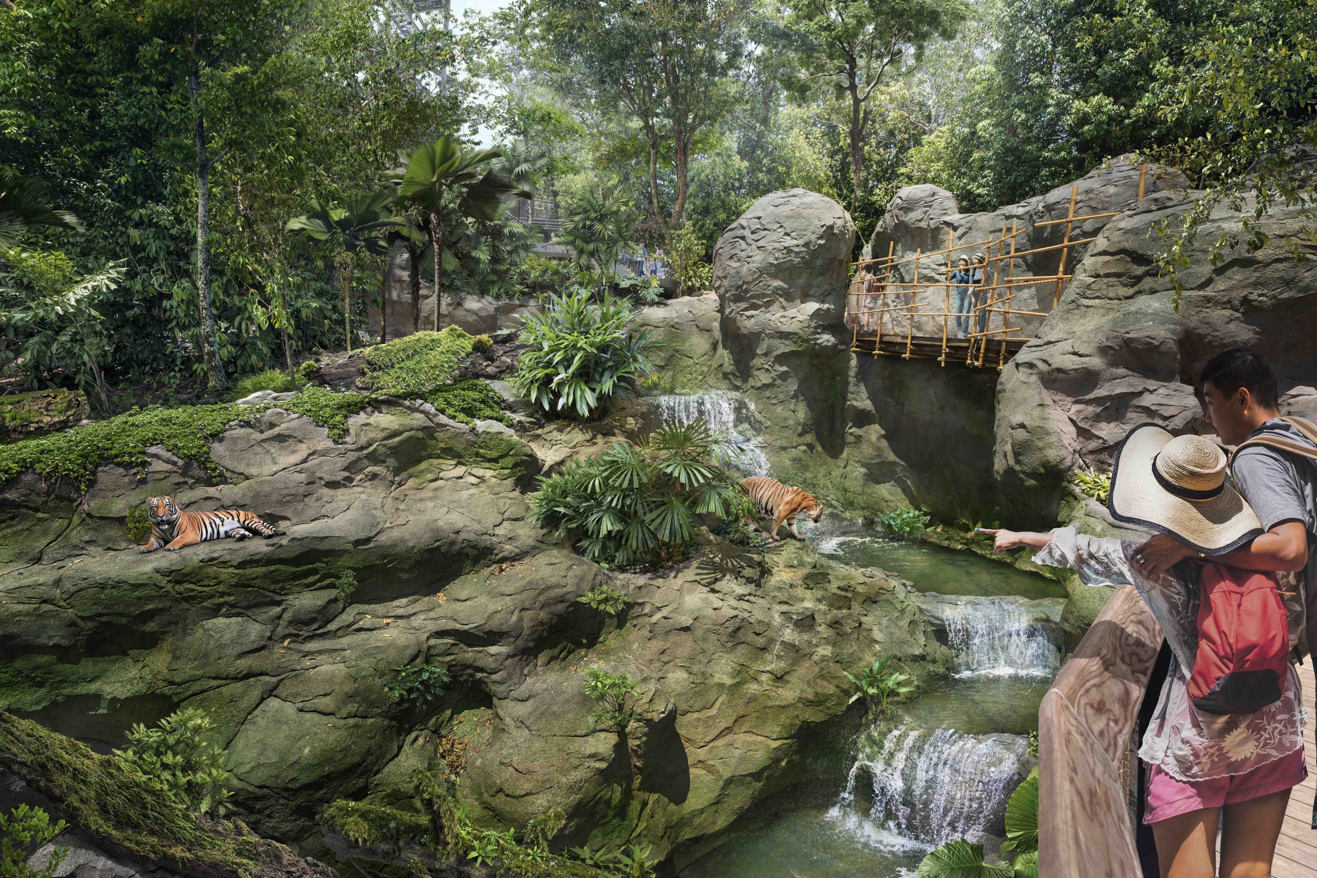 Rainforest Wild Asia: Singapore’s Fifth Wildlife Park Set to Open in March 2025 - Alvinology