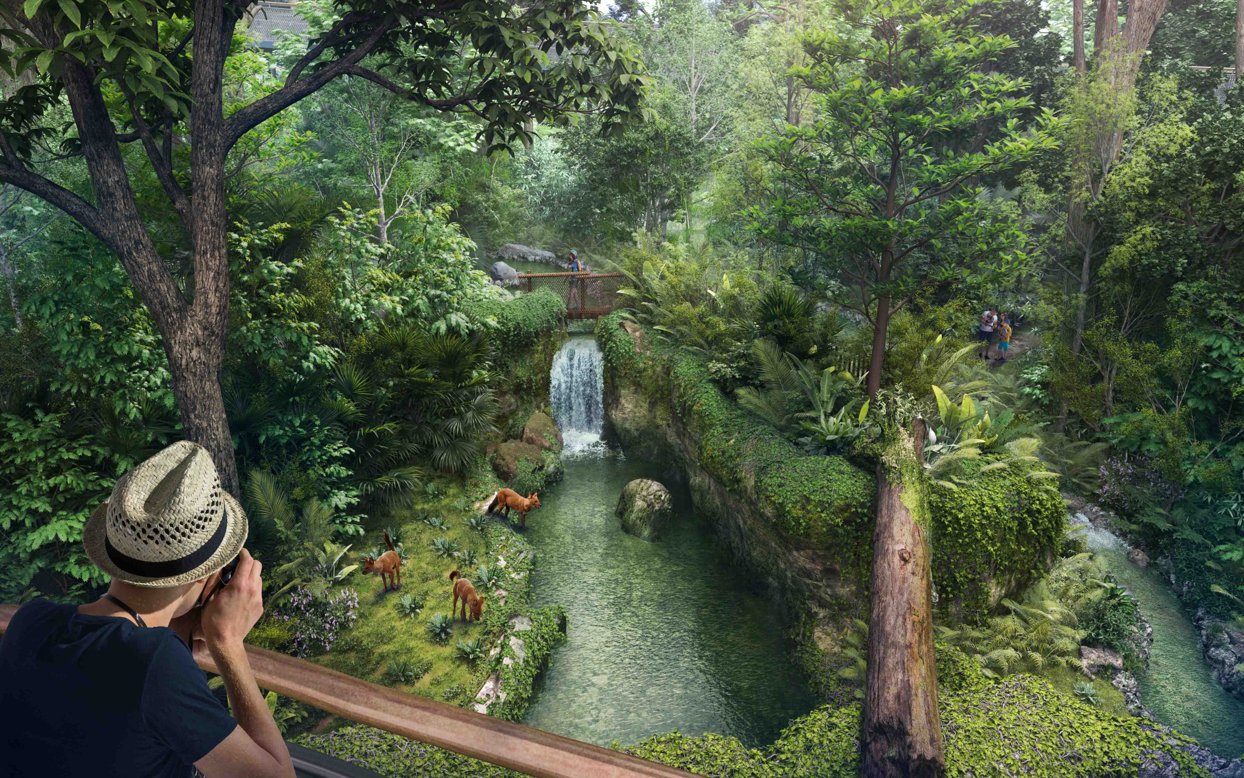 Rainforest Wild Asia: Singapore’s Fifth Wildlife Park Set to Open in March 2025 - Alvinology