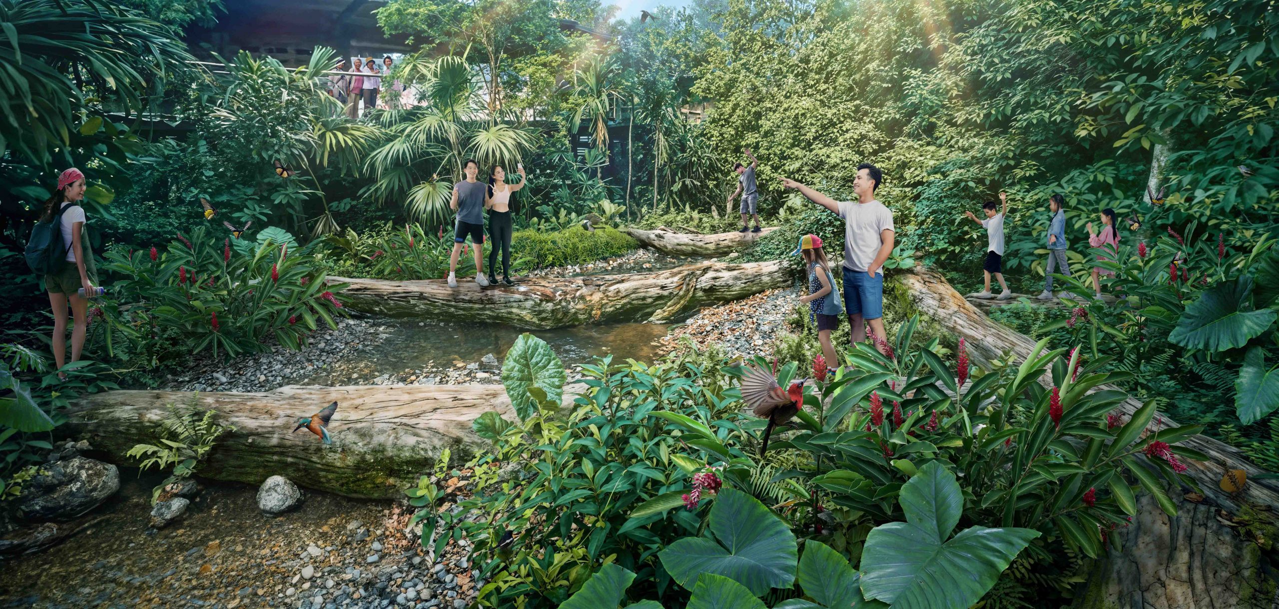 Rainforest Wild Asia: Singapore’s Fifth Wildlife Park Set to Open in March 2025 - Alvinology