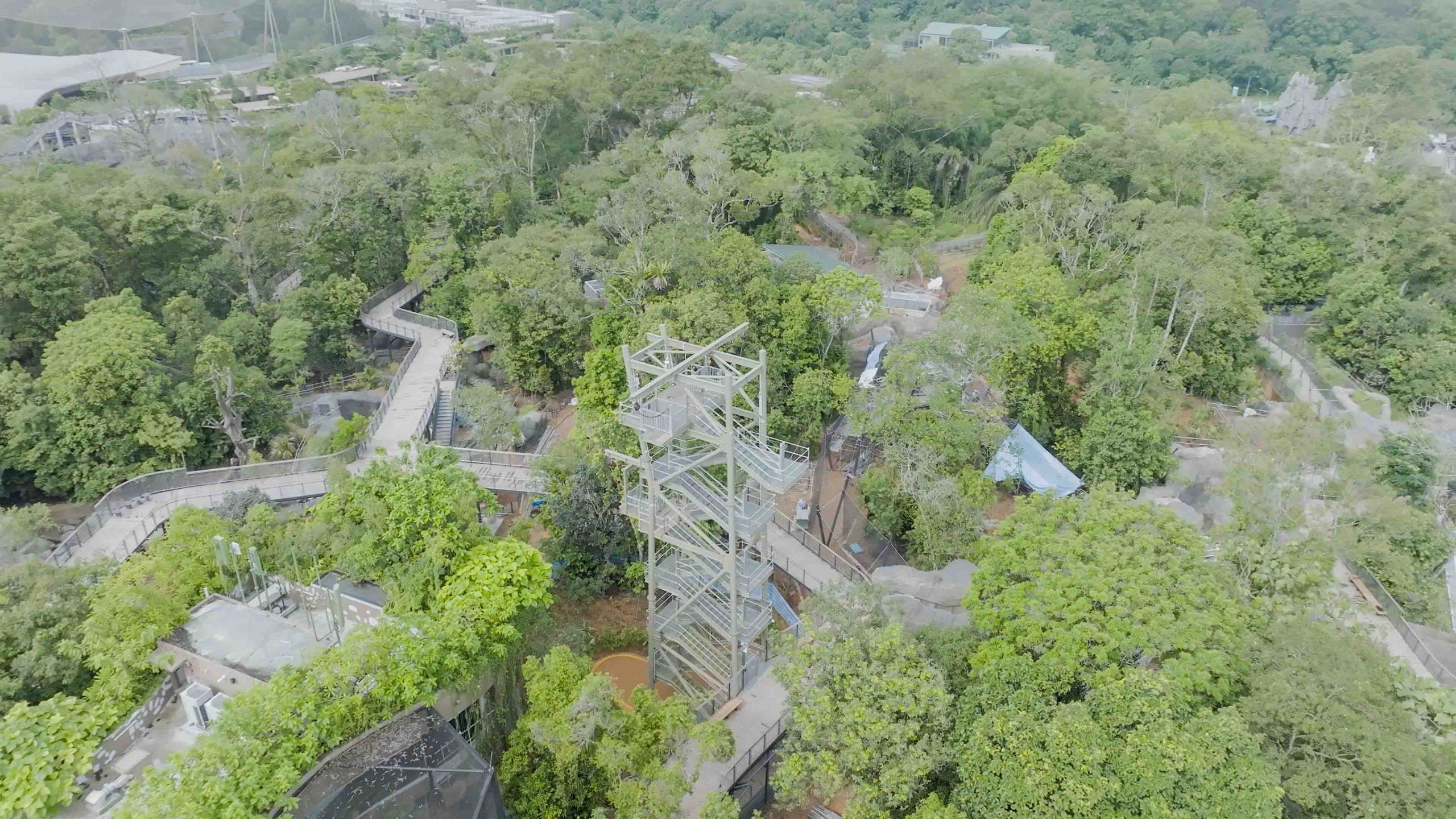 Rainforest Wild Asia: Singapore’s Fifth Wildlife Park Set to Open in March 2025 - Alvinology