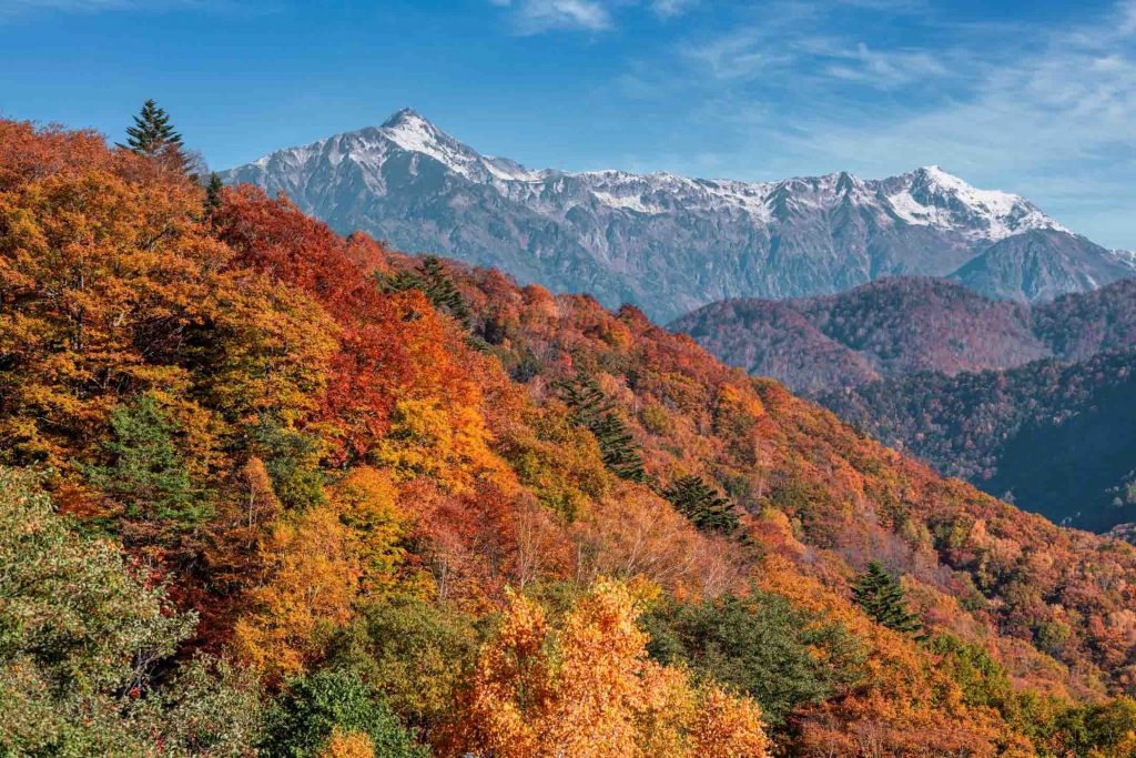 Discover Serenity in the Japanese Alps: KAI Okuhida Opens in Gifu Discover Serenity in the Japanese Alps: KAI Okuhida Opens in Gifu - Alvinology