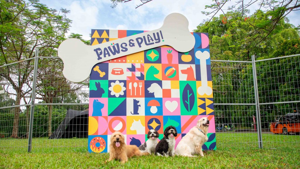 ‘Paws & Play’: Singapore’s Largest Outdoor Dog Playground Launches at Seletar Aerospace Park - Alvinology