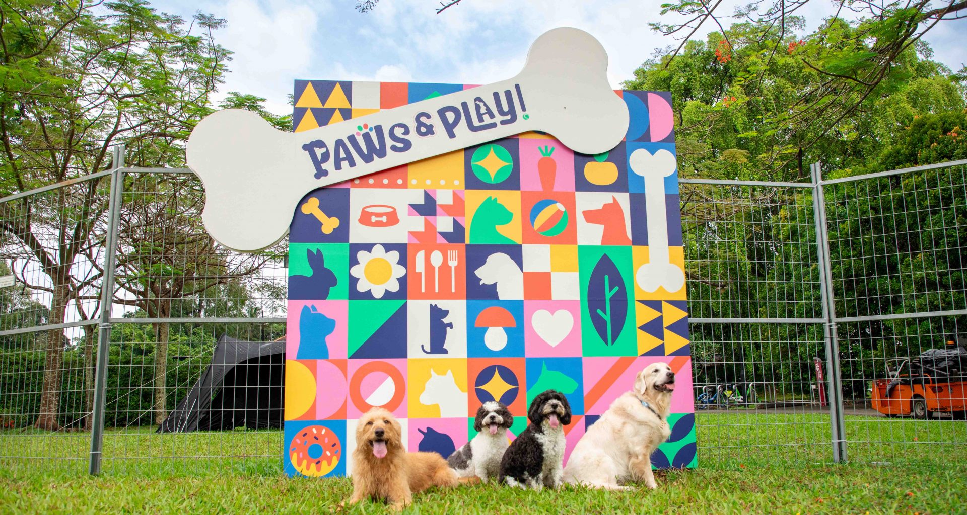 ‘Paws & Play’: Singapore’s Largest Outdoor Dog Playground Launches at Seletar Aerospace Park - Alvinology