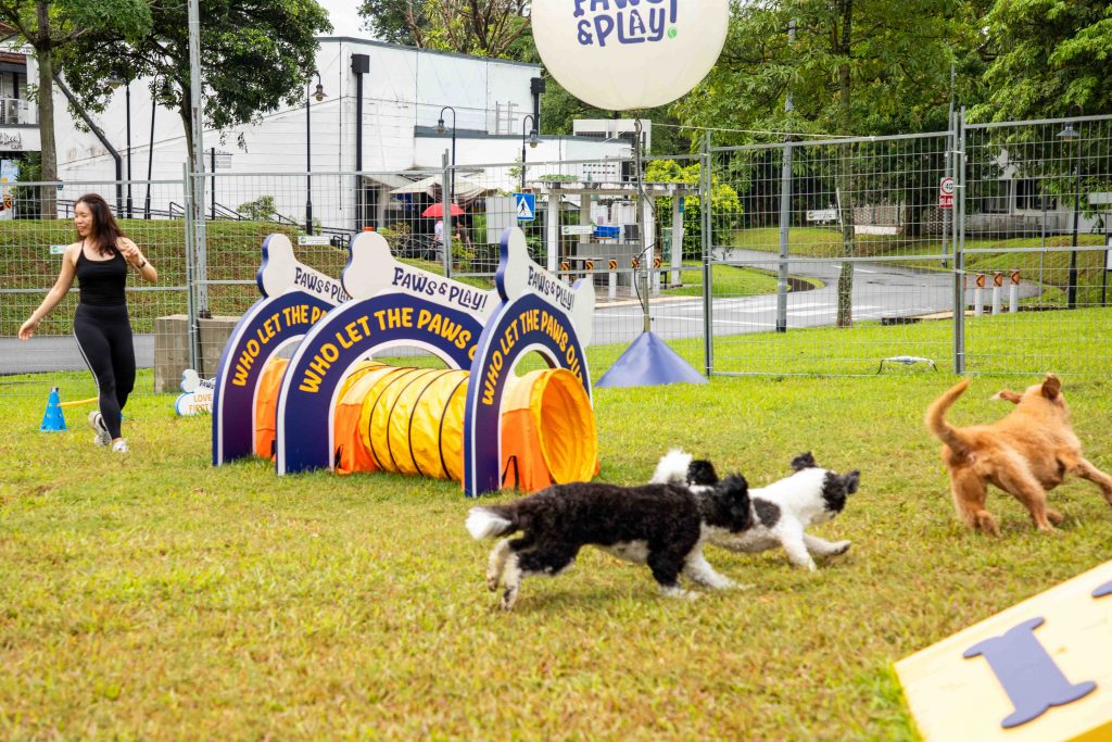 ‘Paws & Play’: Singapore’s Largest Outdoor Dog Playground Launches at Seletar Aerospace Park - Alvinology
