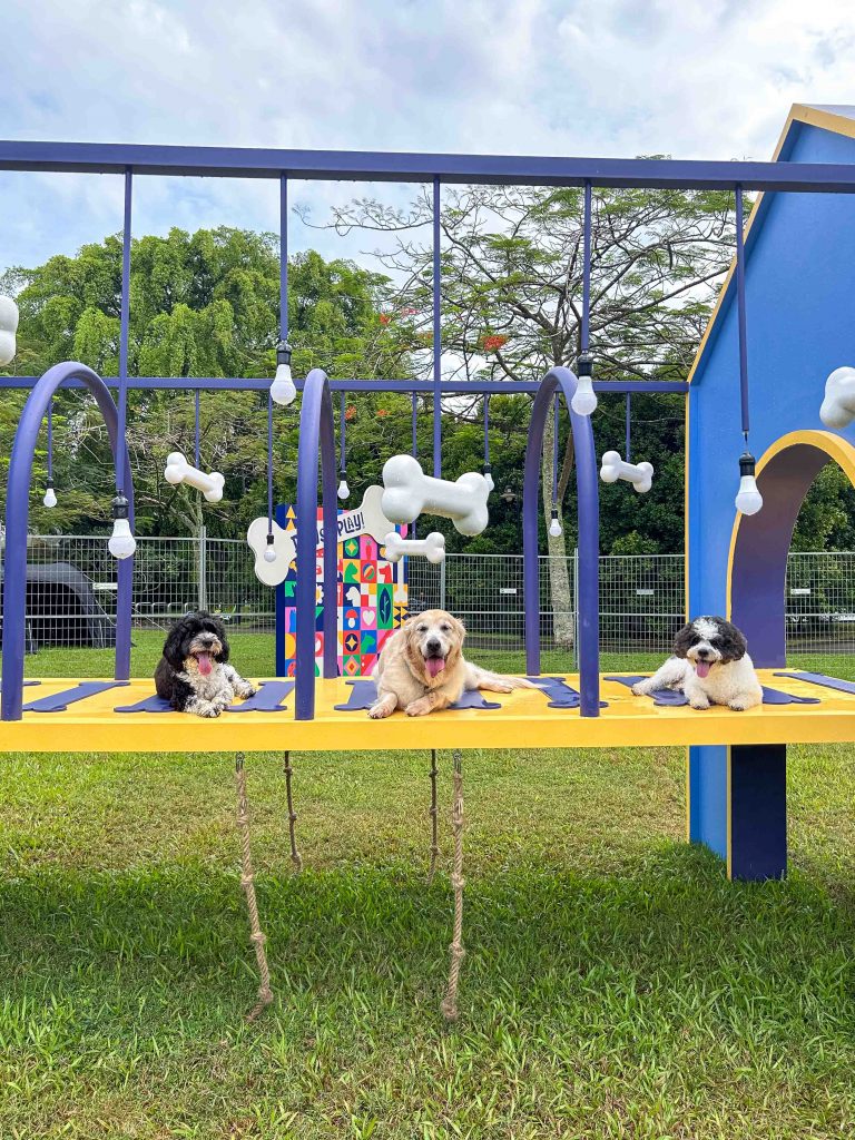 ‘Paws & Play’: Singapore’s Largest Outdoor Dog Playground Launches at Seletar Aerospace Park - Alvinology