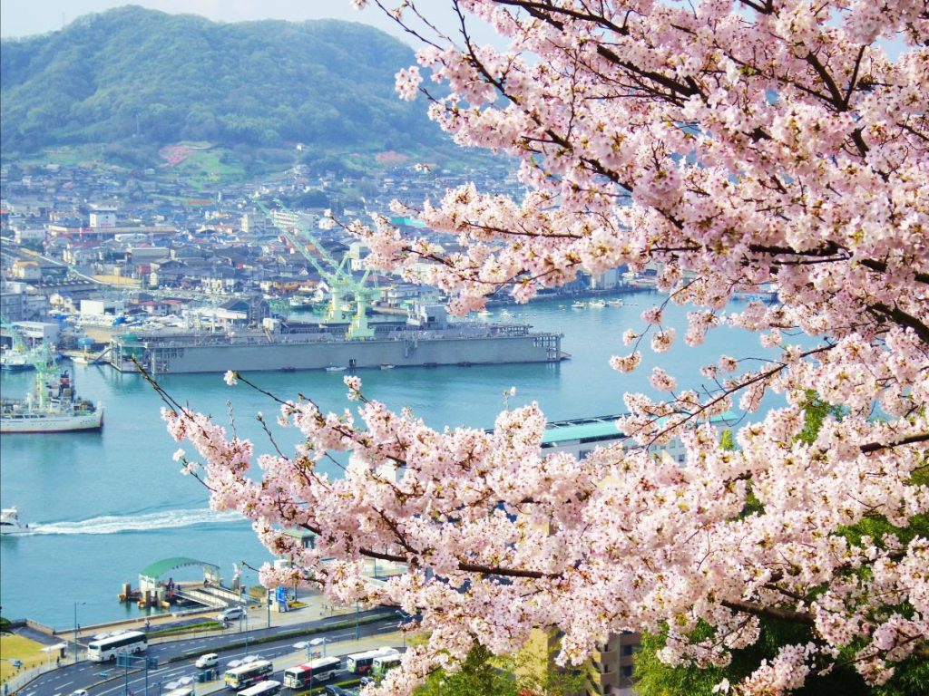 Discover Hiroshima’s Hidden Sakura Gems - Alvinology