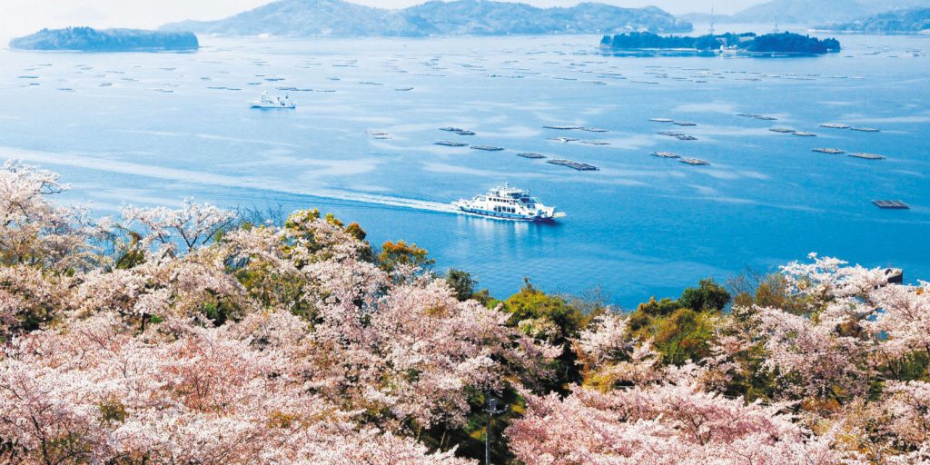 Discover Hiroshima’s Hidden Sakura Gems - Alvinology