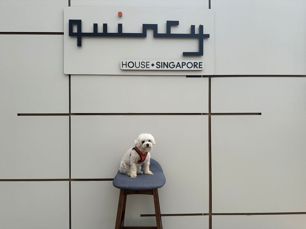 [Review] Pet-Friendly Staycation at Quincy House Singapore in Holland Village - Alvinology