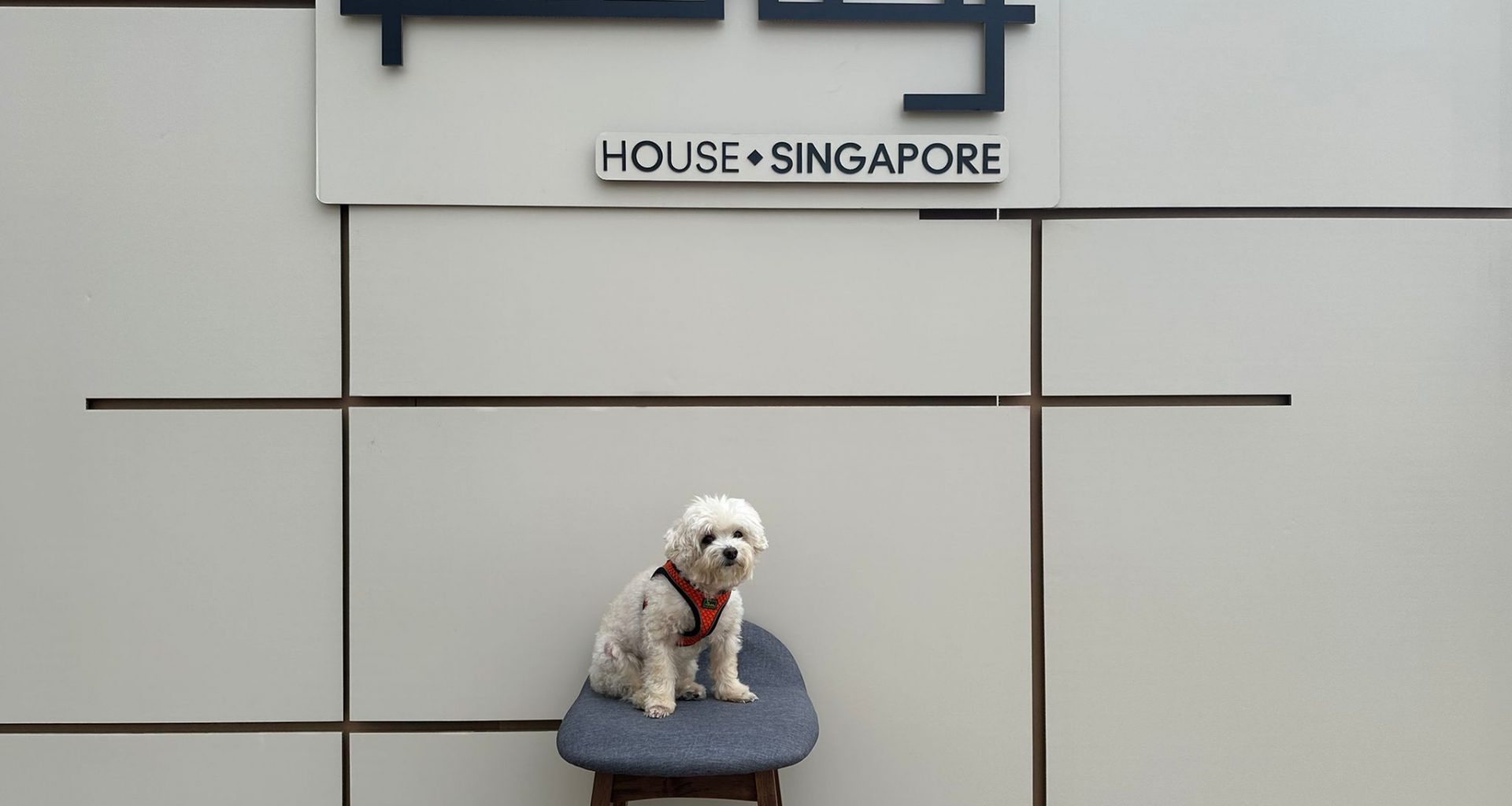 [Review] Pet-Friendly Staycation at Quincy House Singapore in Holland Village - Alvinology