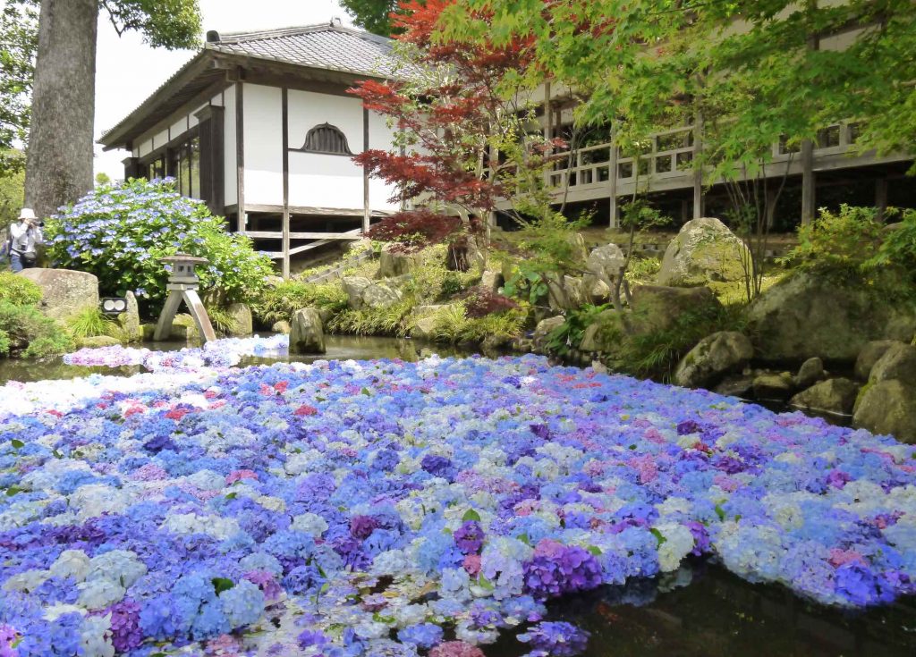 Explore Ibaraki: Japan’s Hidden Gem Comes to Life at JAPAN RAIL CAFE - Alvinology