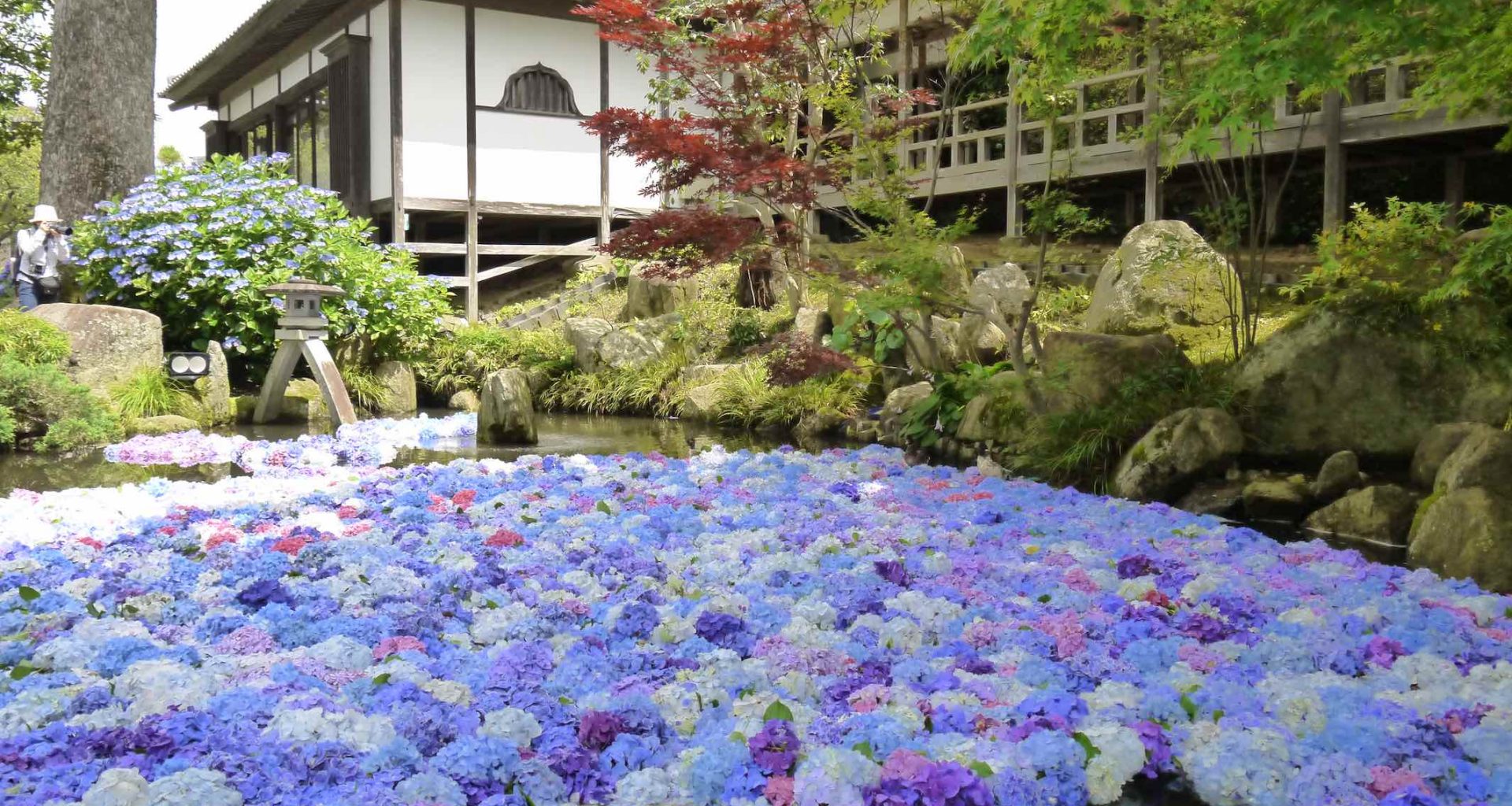 Explore Ibaraki: Japan’s Hidden Gem Comes to Life at JAPAN RAIL CAFE - Alvinology
