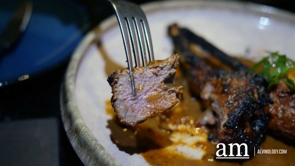 [REVIEW] Revolver: Smoky Modern South Asian Cuisine, Fired from a Open-fire Grill - Alvinology