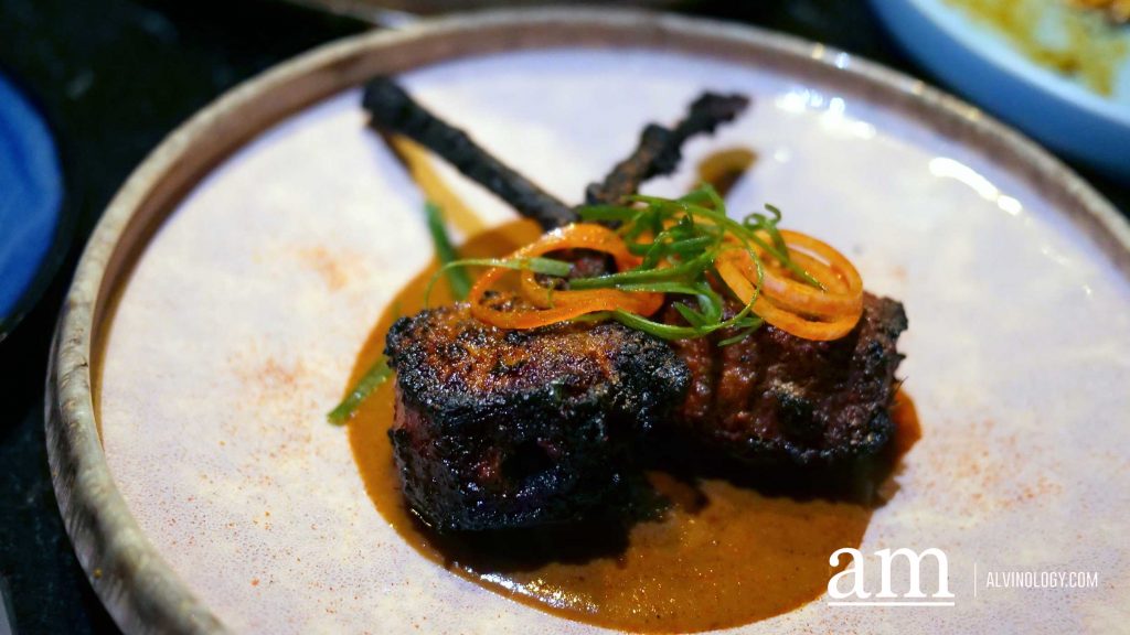 [REVIEW] Revolver: Smoky Modern South Asian Cuisine, Fired from a Open-fire Grill - Alvinology
