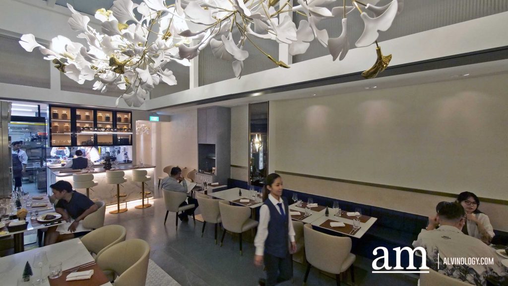 [Review] Wild Blaze: A Bright, Contemporary Steakhouse with French Flair at Tras Street - Alvinology