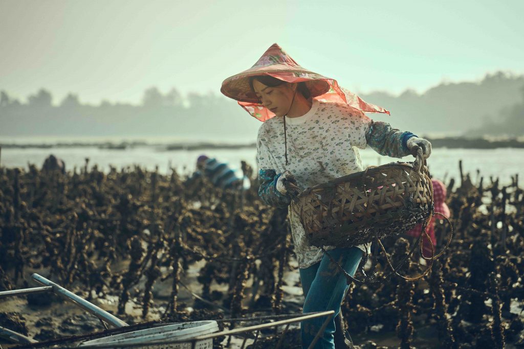 KC Global Media Asia Launches Distribution Arm to Expand Global Content Reach KC Global Media Asia Launches Distribution Arm to Expand Global Content Reach - Alvinology