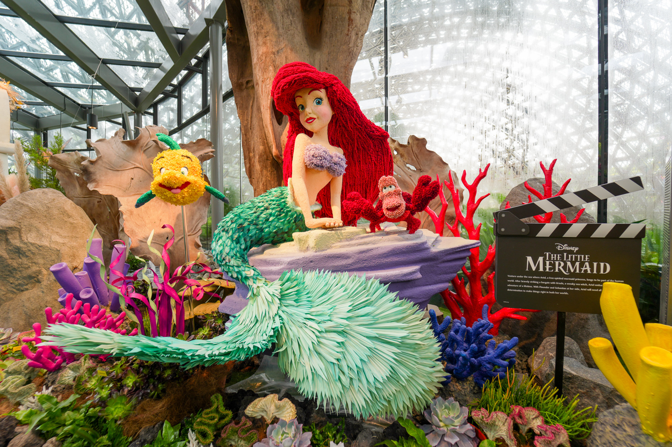 Disney Garden of Wonder Blooms at Gardens by the Bay - Alvinology
