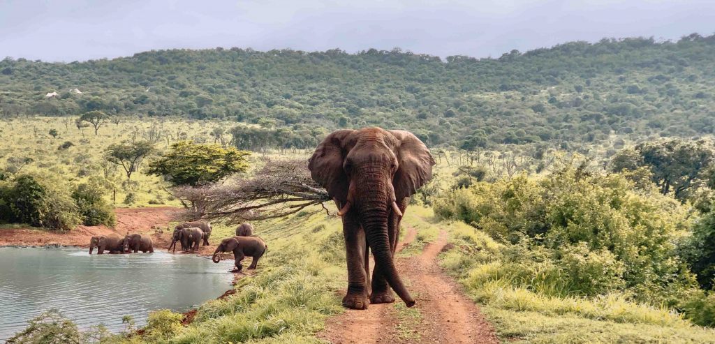 Jumeirah Debuts in Africa with Luxurious Island Retreat and Private Safari Reserve - Alvinology