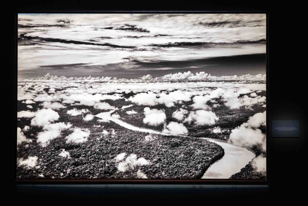 Experience the Majesty of the Amazon in Sebastião Salgado’s Amazônia Exhibition at the National Museum of Singapore Experience the Majesty of the Amazon in Sebastião Salgado’s Amazônia Exhibition at the National Museum of Singapore - Alvinology