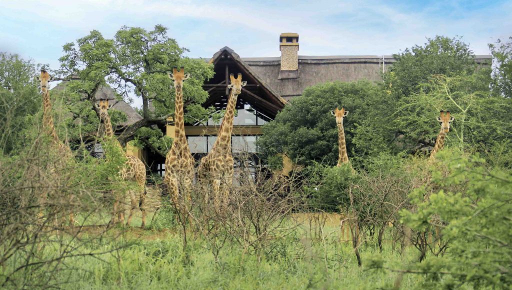 Jumeirah Debuts in Africa with Luxurious Island Retreat and Private Safari Reserve - Alvinology