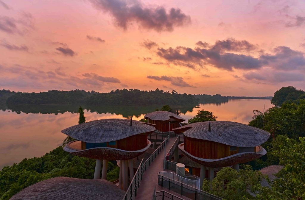 Escape to Nature: Mandai Rainforest Resort by Banyan Tree Opens April 2025 - Alvinology