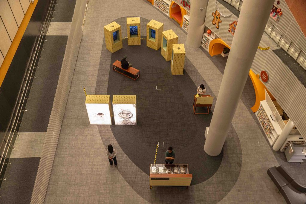 Singapore Art Museum Unveils ‘5 Albizias’ by Robert Zhao Renhui at Punggol Regional Library - Alvinology