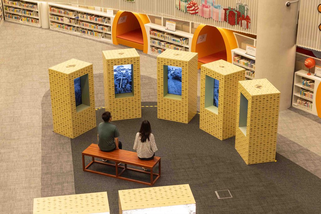 Singapore Art Museum Unveils ‘5 Albizias’ by Robert Zhao Renhui at Punggol Regional Library - Alvinology