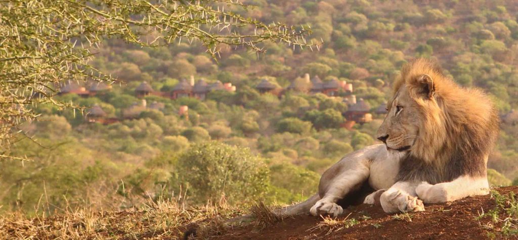 Jumeirah Debuts in Africa with Luxurious Island Retreat and Private Safari Reserve - Alvinology