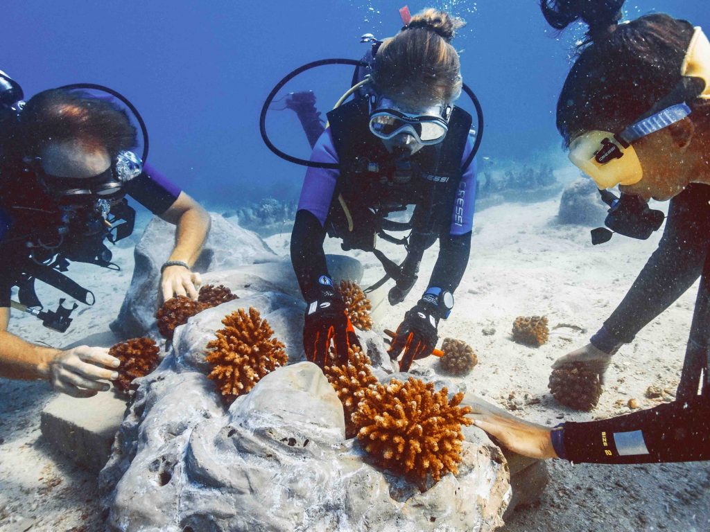 Jumeirah Debuts in Africa with Luxurious Island Retreat and Private Safari Reserve - Alvinology