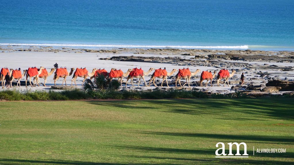 Discover Broome: A Hidden Destination in Western Australia with Deep Singaporean Ties - Alvinology