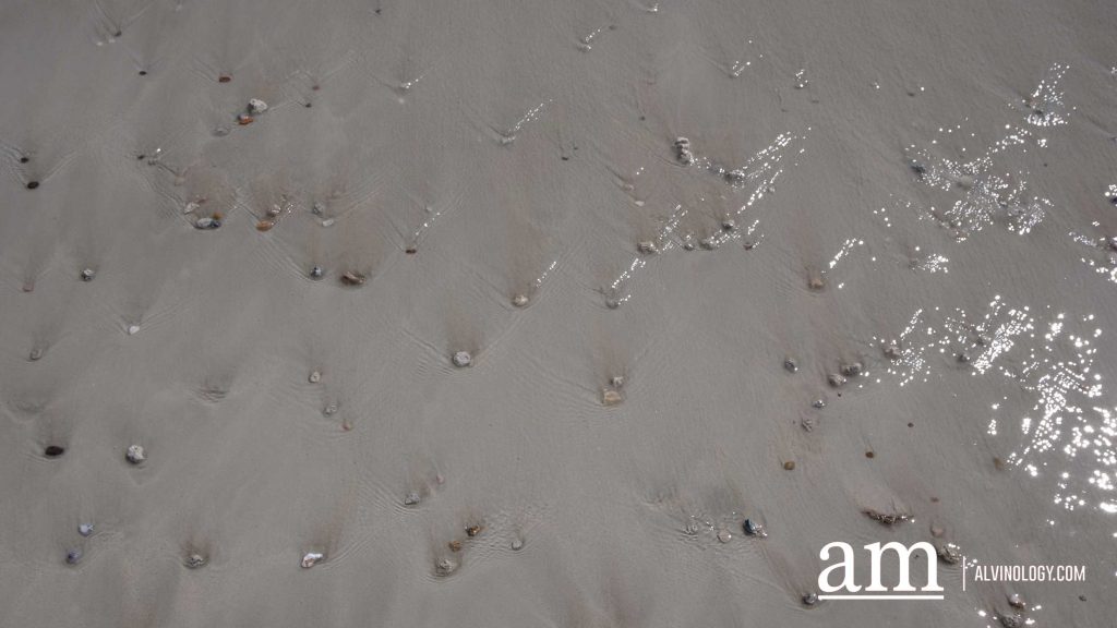 Discover Broome: A Hidden Destination in Western Australia with Deep Singaporean Ties - Alvinology