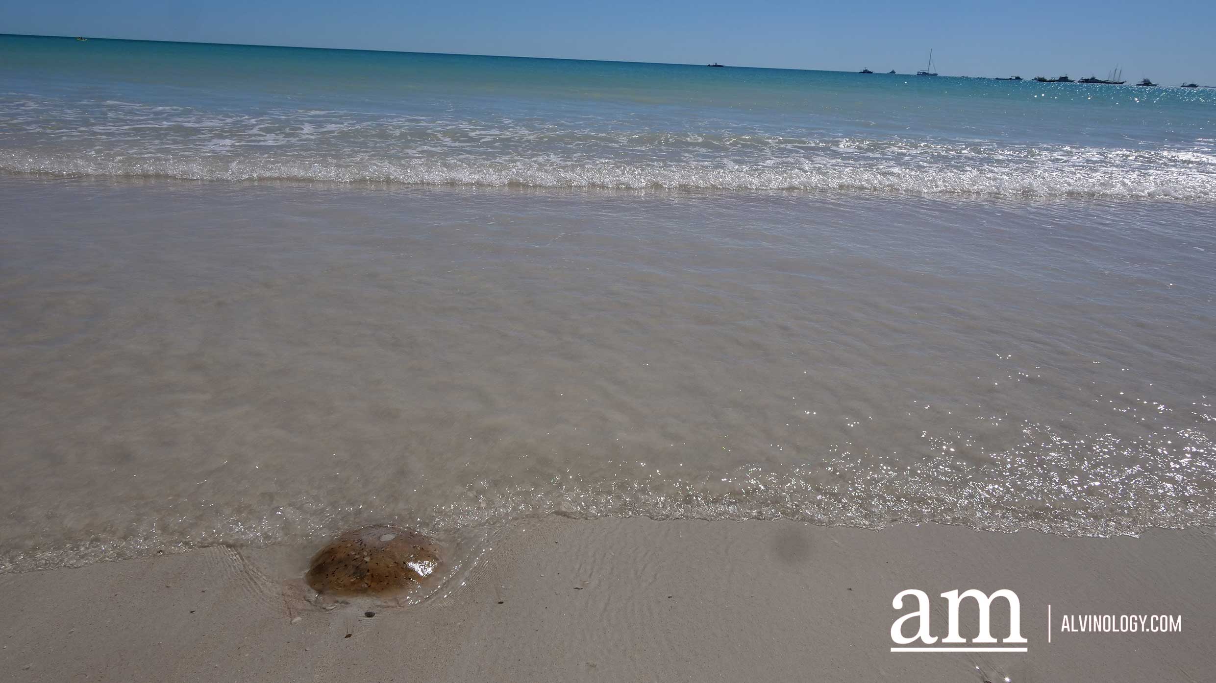 Discover Broome: A Hidden Destination in Western Australia with Deep Singaporean Ties - Alvinology
