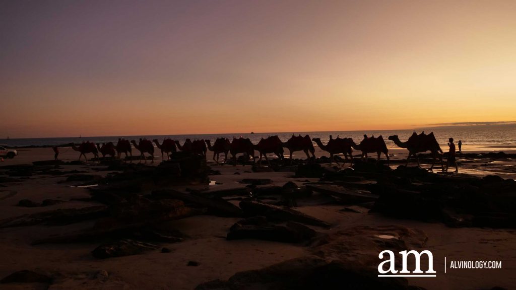 Discover Broome: A Hidden Destination in Western Australia with Deep Singaporean Ties - Alvinology