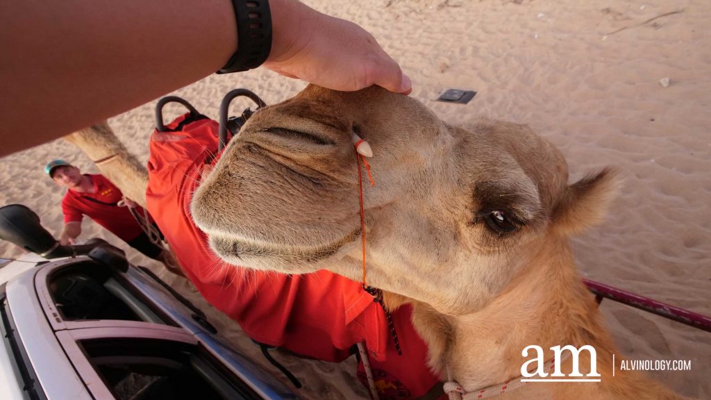 Discover Broome: A Hidden Destination in Western Australia with Deep Singaporean Ties - Alvinology