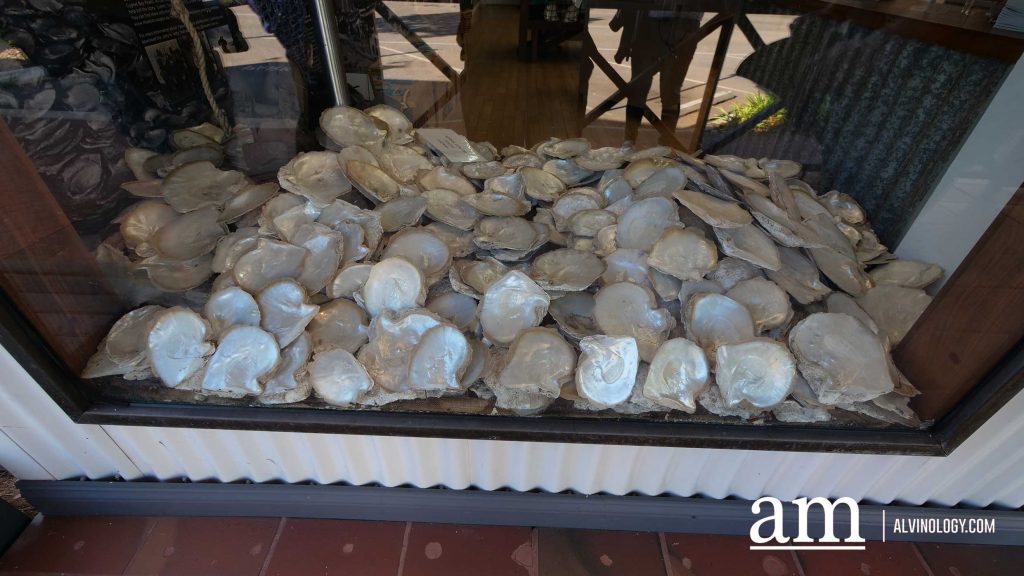 Discover Broome: A Hidden Destination in Western Australia with Deep Singaporean Ties - Alvinology