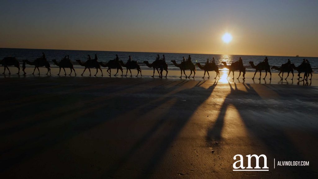 Discover Broome: A Hidden Destination in Western Australia with Deep Singaporean Ties - Alvinology