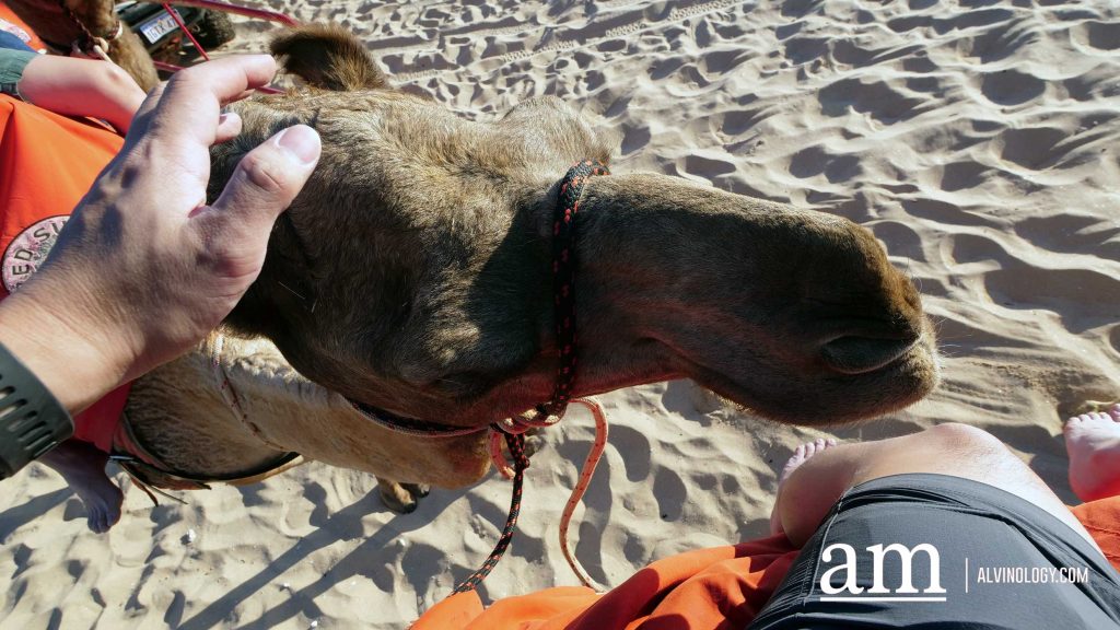 Discover Broome: A Hidden Destination in Western Australia with Deep Singaporean Ties - Alvinology