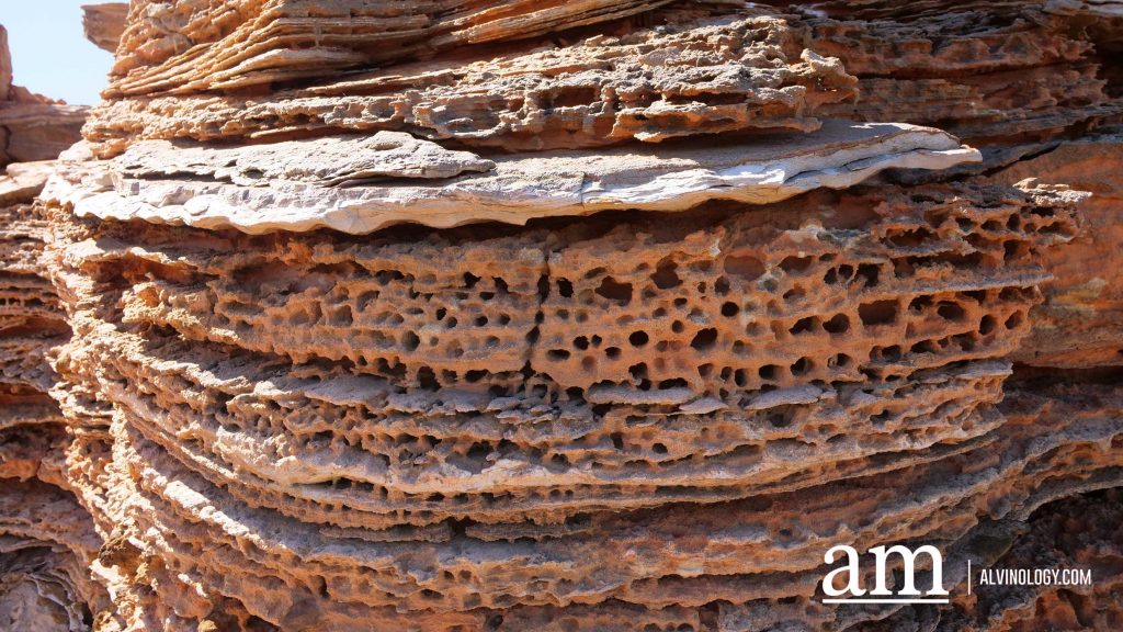 Discover Broome: A Hidden Destination in Western Australia with Deep Singaporean Ties - Alvinology