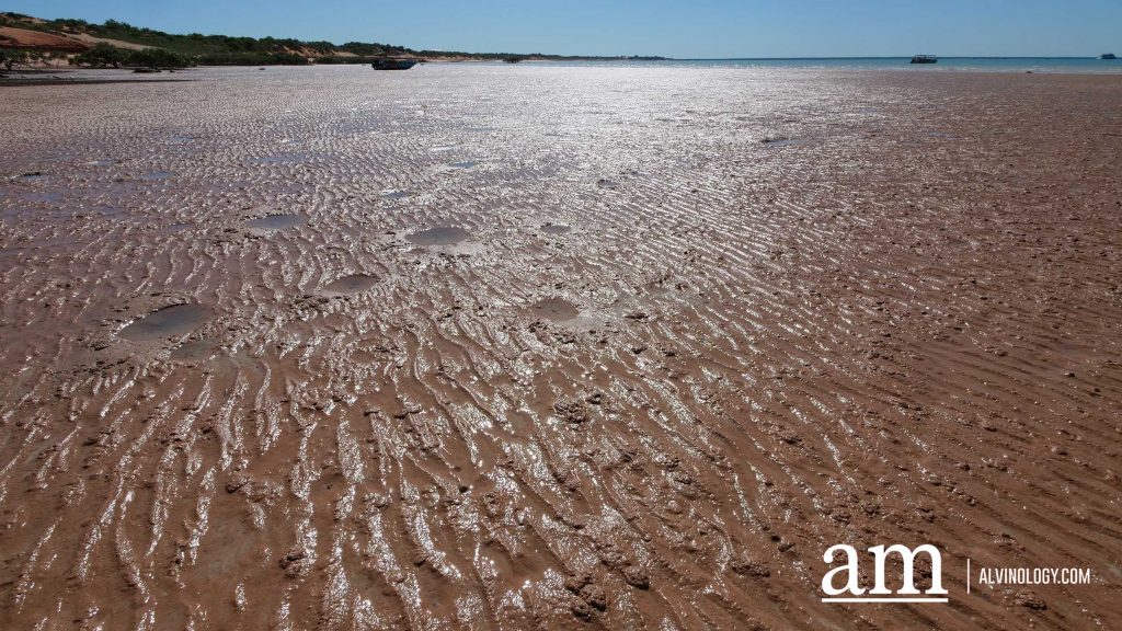 Discover Broome: A Hidden Destination in Western Australia with Deep Singaporean Ties - Alvinology