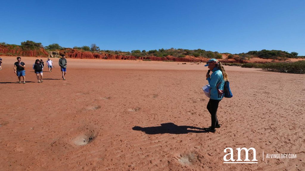 Discover Broome: A Hidden Destination in Western Australia with Deep Singaporean Ties - Alvinology