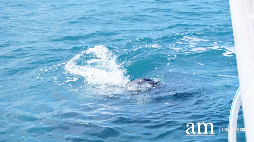 Discover Broome: A Hidden Destination in Western Australia with Deep Singaporean Ties - Alvinology