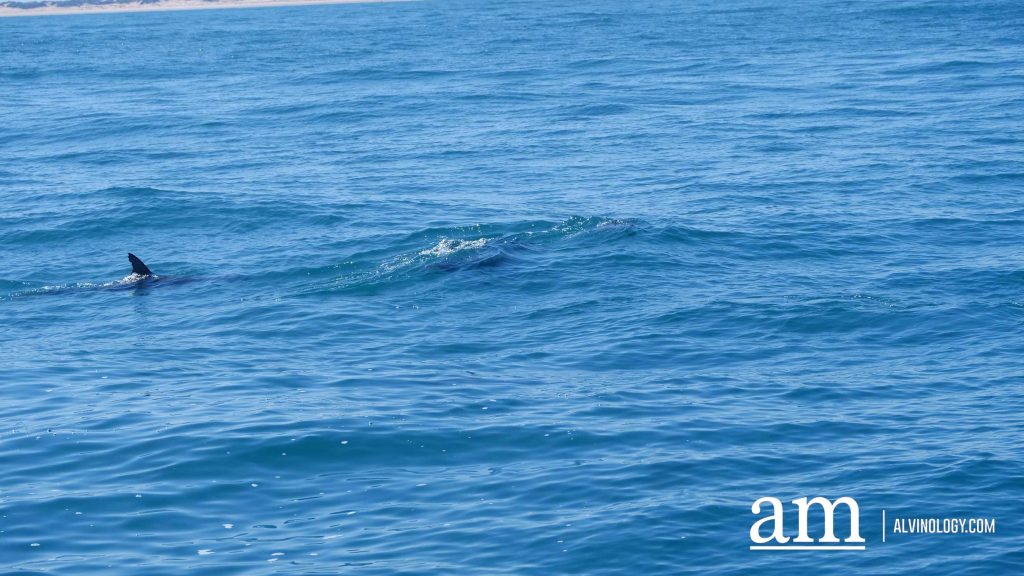 Discover Broome: A Hidden Destination in Western Australia with Deep Singaporean Ties - Alvinology