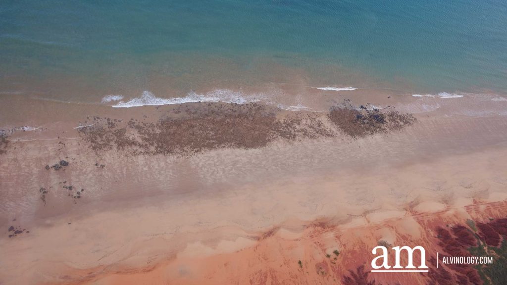Cygnet Bay Adventure: A First-hand Experience with Air Kimberley - Alvinology