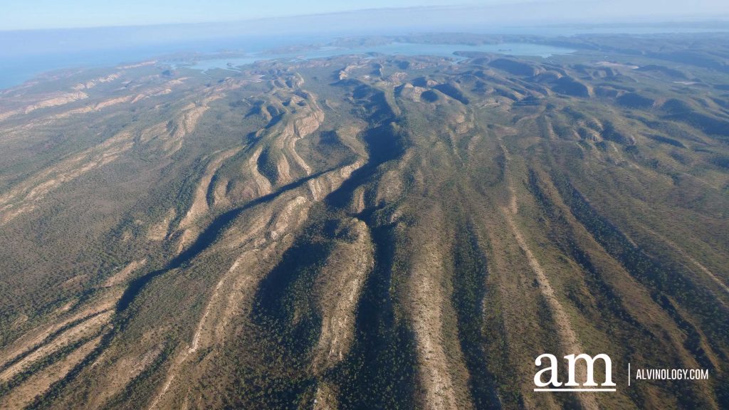 Cygnet Bay Adventure: A First-hand Experience with Air Kimberley - Alvinology