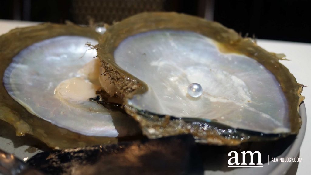Cygnet Bay Adventure: A First-hand Experience with Air Kimberley - Alvinology