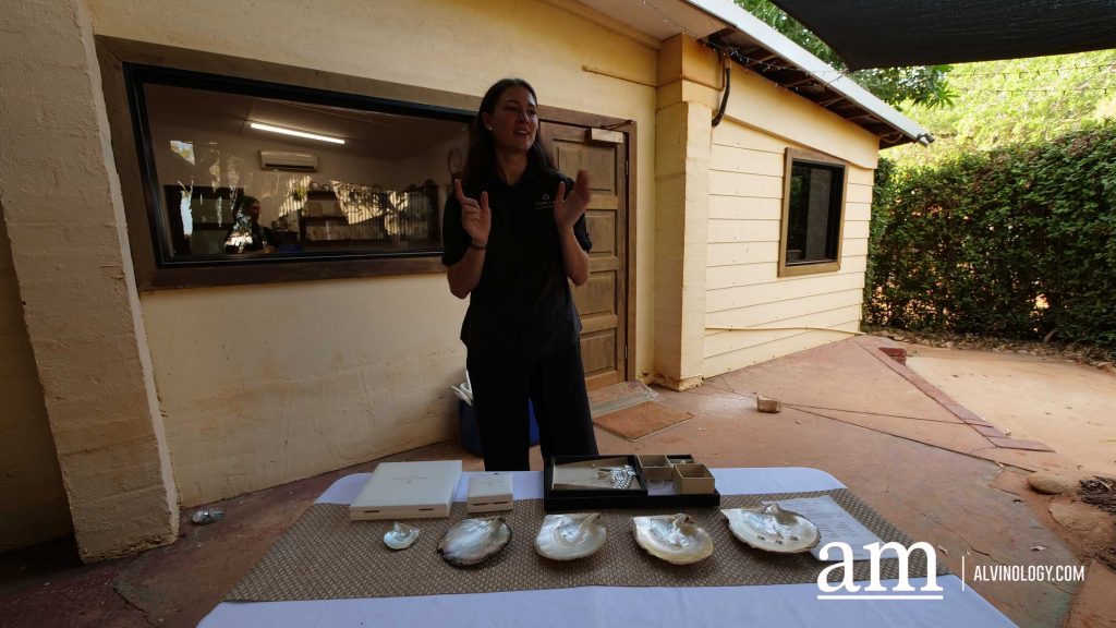 Cygnet Bay Adventure: A First-hand Experience with Air Kimberley - Alvinology