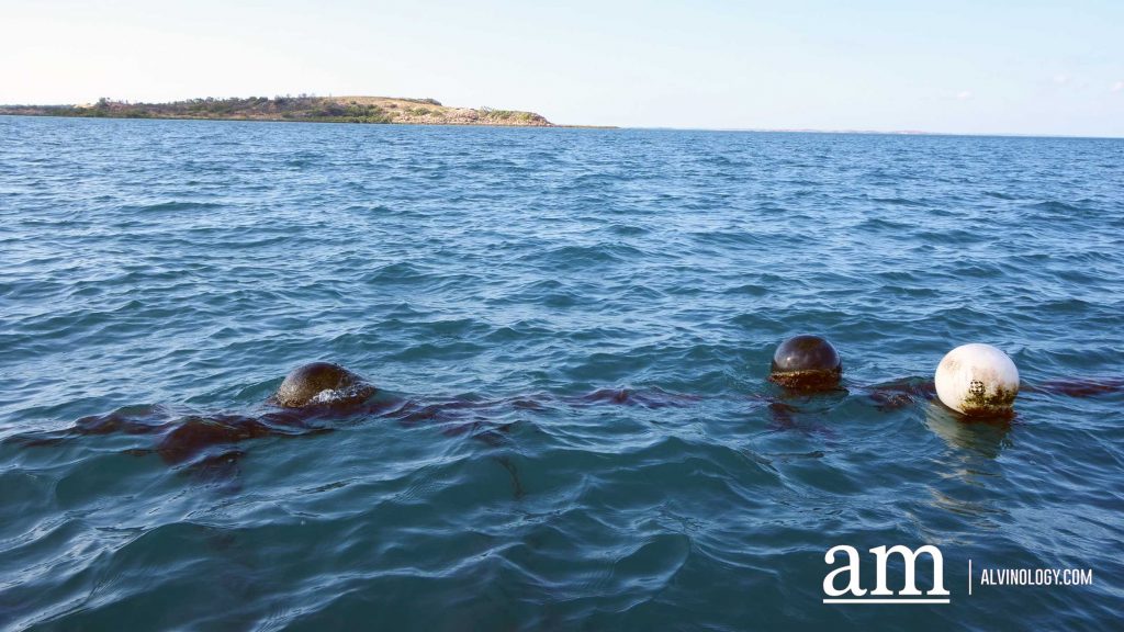 Cygnet Bay Adventure: A First-hand Experience with Air Kimberley - Alvinology