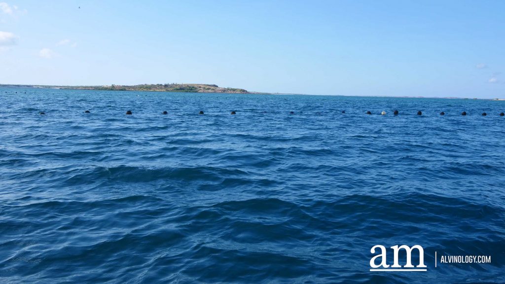 Cygnet Bay Adventure: A First-hand Experience with Air Kimberley - Alvinology
