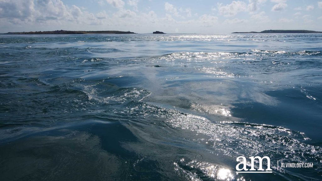 Cygnet Bay Adventure: A First-hand Experience with Air Kimberley - Alvinology