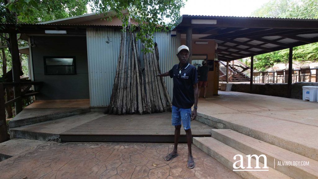 Cygnet Bay Adventure: A First-hand Experience with Air Kimberley - Alvinology