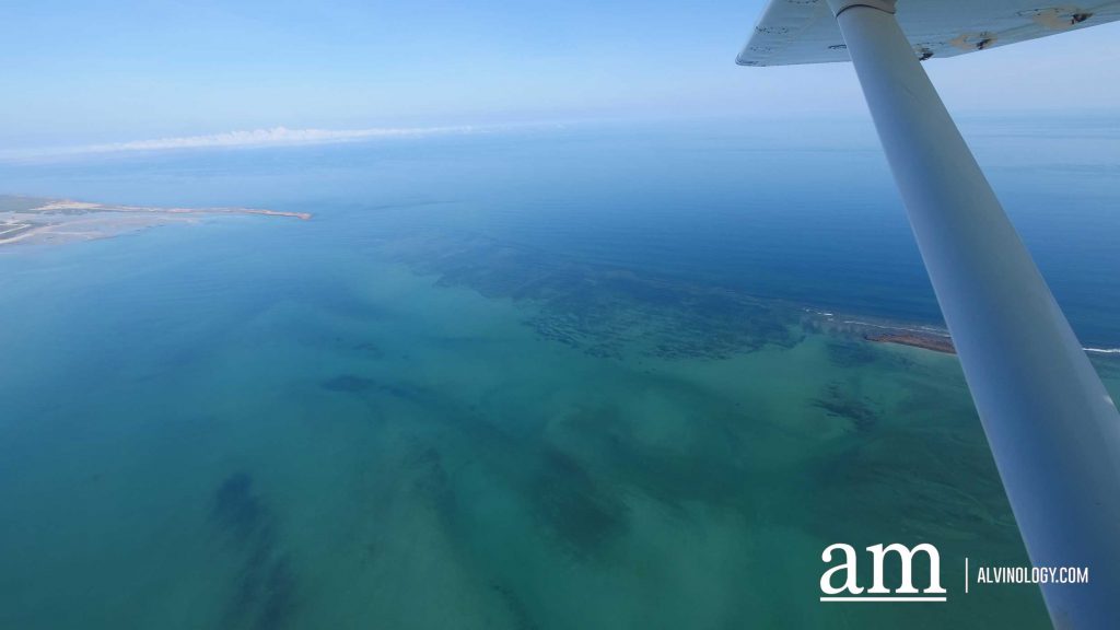 Cygnet Bay Adventure: A First-hand Experience with Air Kimberley - Alvinology